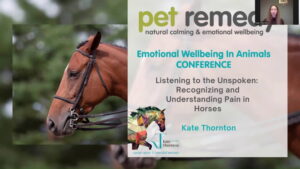 VEWAC25 Kate Thornton